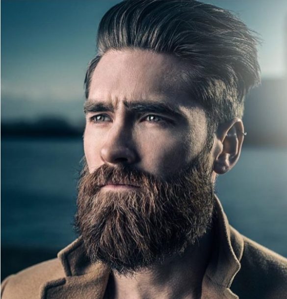medium length beard 2018