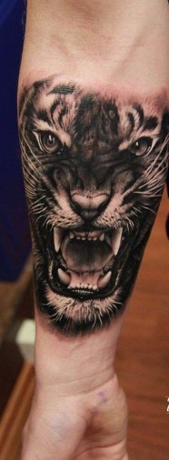 antriko tatoyaz tigris sto xeri