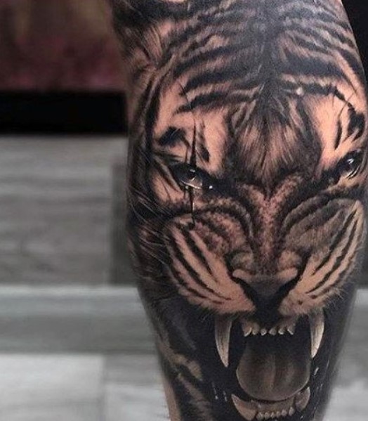 tigris tatouaz